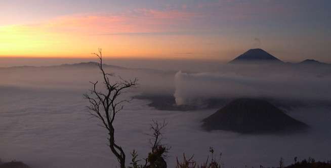 Wisata Gunung Bromo