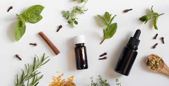 Manfaat Tea Tree Oil sebagai Stimulan dan Antimikroba