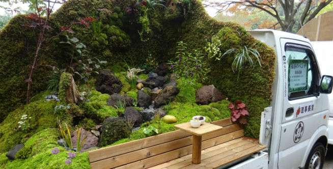 Air terjun hingga akuarium di Truk