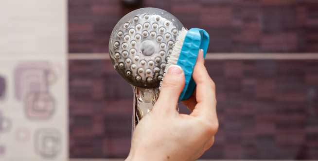 Sikat Kepala Shower