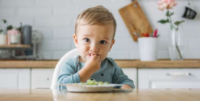 TAHAP 3: Makanan Dipotong Kecil (Usia 10 Sampai 12 Bulan)