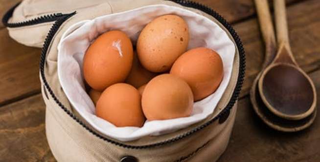 Telur