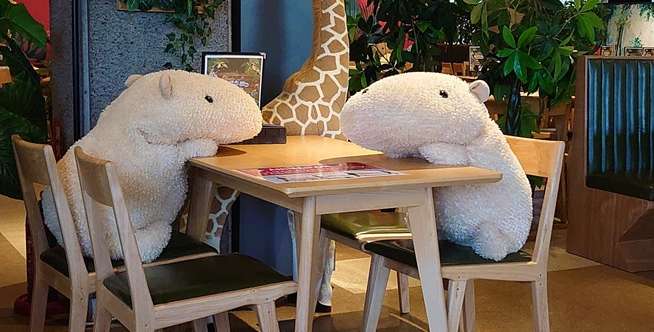 Boneka Capybara Mengalihkan Perhatian Pengunjung