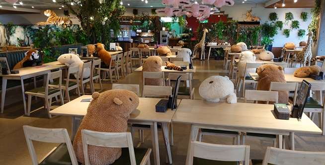 Mengapa Menggunakan Boneka Capybara?