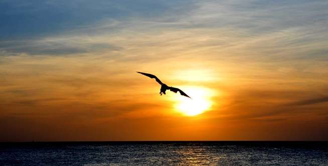Aruba