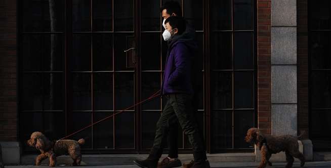 Gunakan Masker