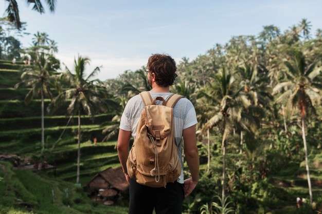 Mendorong Diciptakannya Visa Digital Nomad