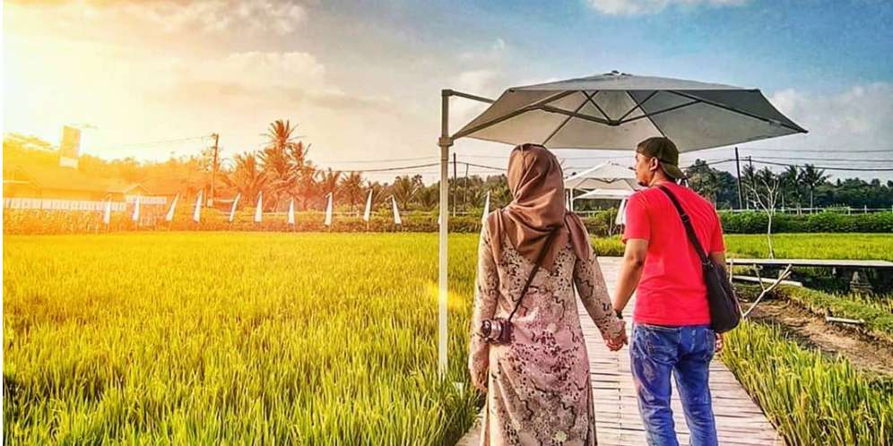 Viral Objek Wisata di Tengah Sawah Dekat Candi Borobudur