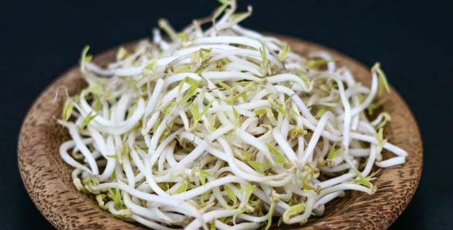 Hindari Makan Tauge Mentah Saat Hamil, Ini Sebabnya