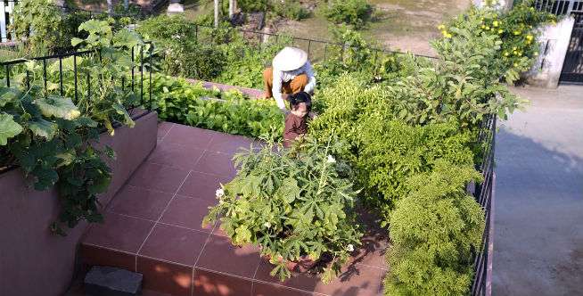 Dapur Tradisional
