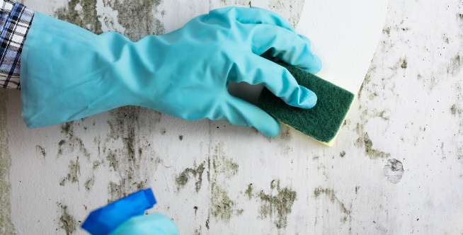 Sumber Kebocoran yang Paling Sering