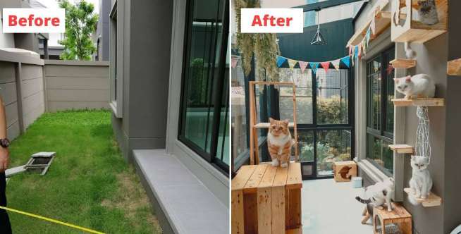 Tengok Rumah Kaca Mewah Buat Kucing Kesayangan