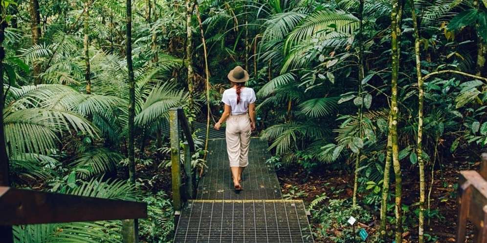 Pusat Penemuan Daintree