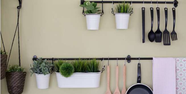 Bakteri dan kuman di dapur