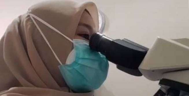 Viral di TikTok, Pemeriksaan Kesuburan Sperma di Laboratorium