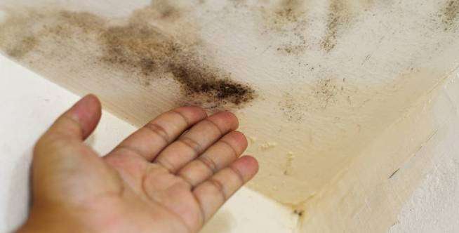 Waspada, Muncul Tanda Ini Saat Ada Kebocoran Air di Rumah