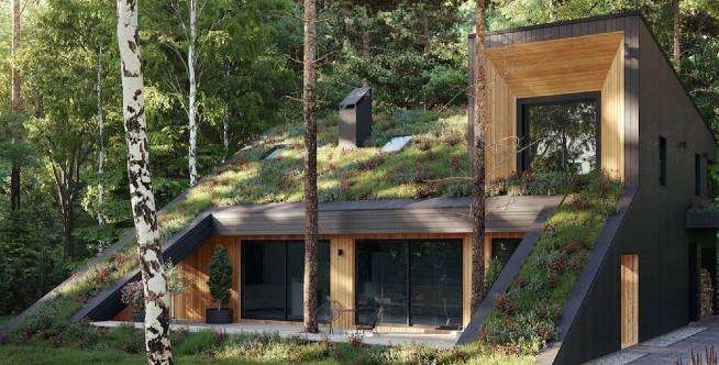 Desain Dramatis Rumah Beratap Rumput Dikelilingi Pohon