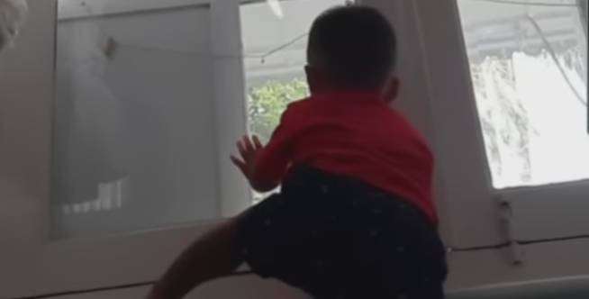 Lihat video lucu Arka