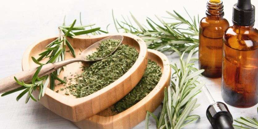 Manfaat Minyak Rosemary untuk Rambut