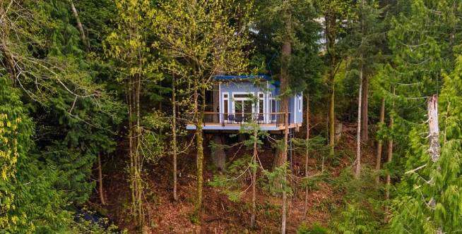 Rumah Pohon Tengah Hutan, Interiornya Bikin Mager