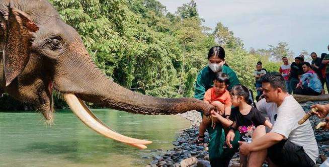 Potret Hangat Keluarga Bobby-Kahiyang Main dengan Gajah