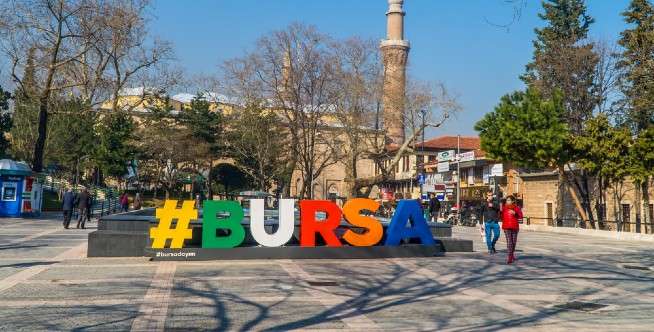 Bursa