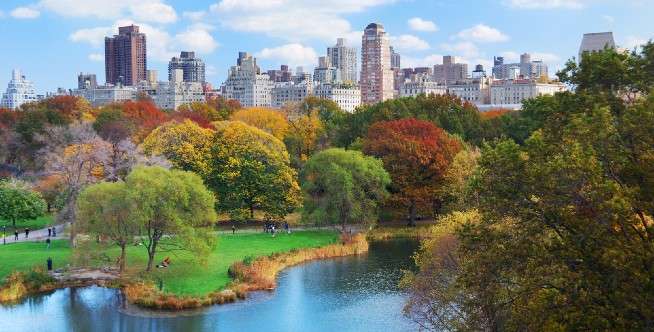 Central Park