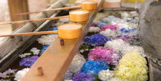 Taman Ajisai Mandara-en