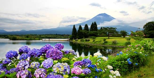 Kuil Kumano Nachi Taisha