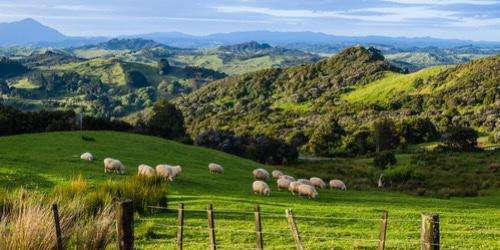 Ada apa saja, ya? Simak yuk!