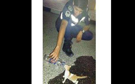 Kebaikan Polisi Ini Gemparkan Kuwait