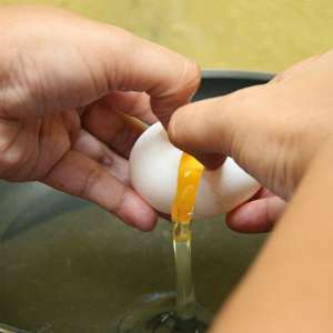 Telur Ayam Kampung, `Idola` Masyarakat Indonesia