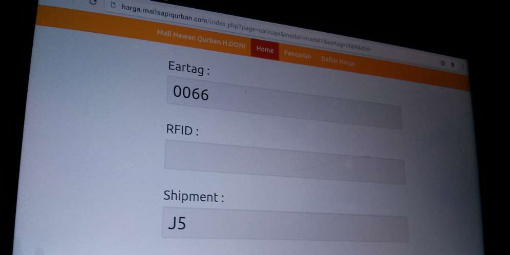 Haji Doni Manfaatkan Perkembangan Teknologi demi Jual Sapi