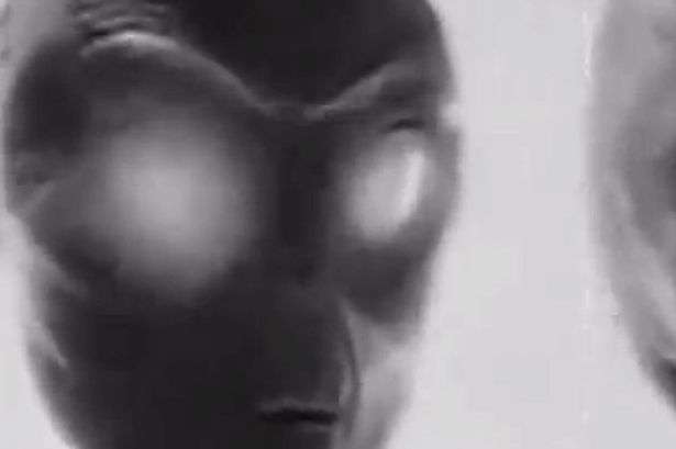Foto-foto Autopsi Alien Diklaim Asli