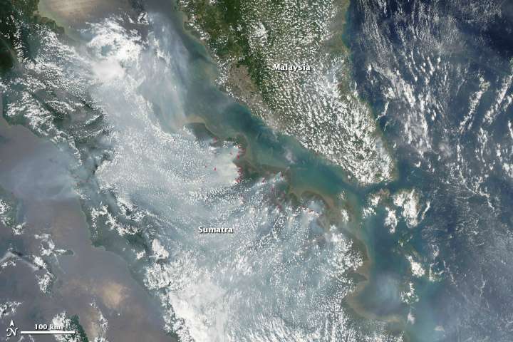 NASA: Kabut Asap 2015 Bisa Jadi yang Terparah
