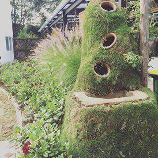 Tak Cuma Selandia Baru, di Indonesia Juga Ada Kampung Hobbit