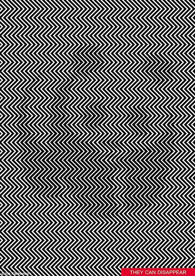 Bisa Temukan Gambar Panda pada Garis-garis Ini?