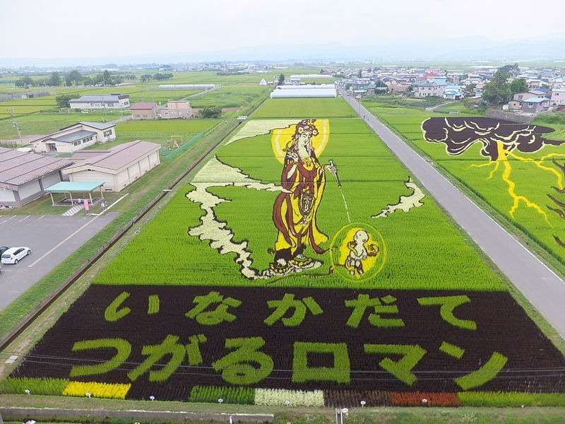 Begini Rupa Mengagumkan Sawah di Negeri Sakura