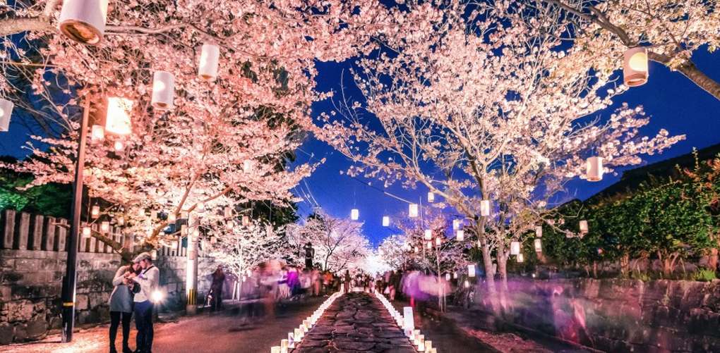 10 Taman Bunga Paling Indah di Dunia