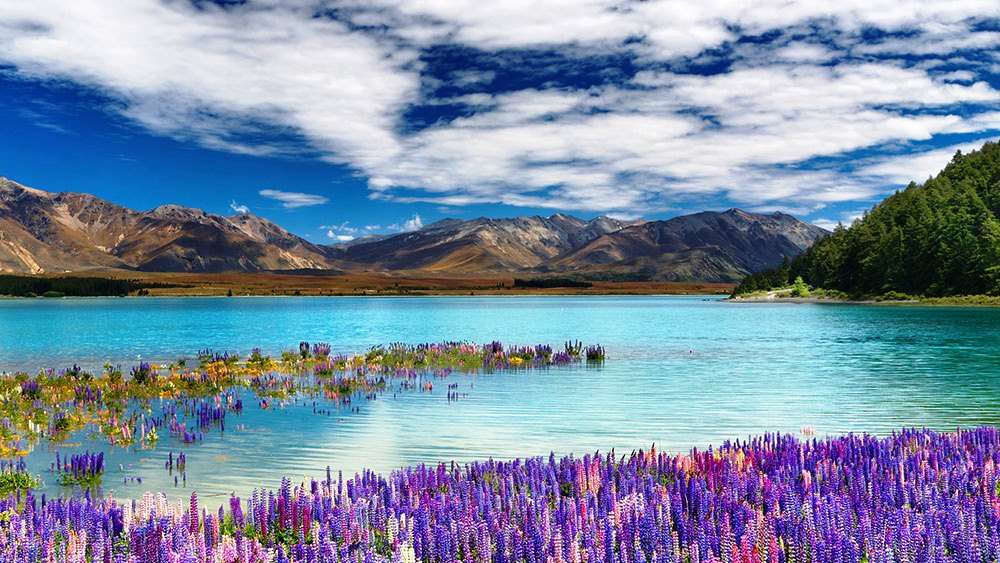 10 Lokasi Wisata Selandia Baru Paling Populer di Instagram 10 Lokasi Wisata Selandia Baru Paling Populer di Instagram