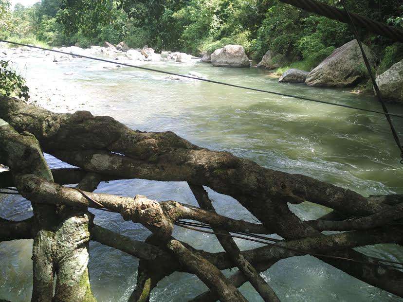 Keunikan Wisata Jembatan Akar Berusia Ratusan Tahun