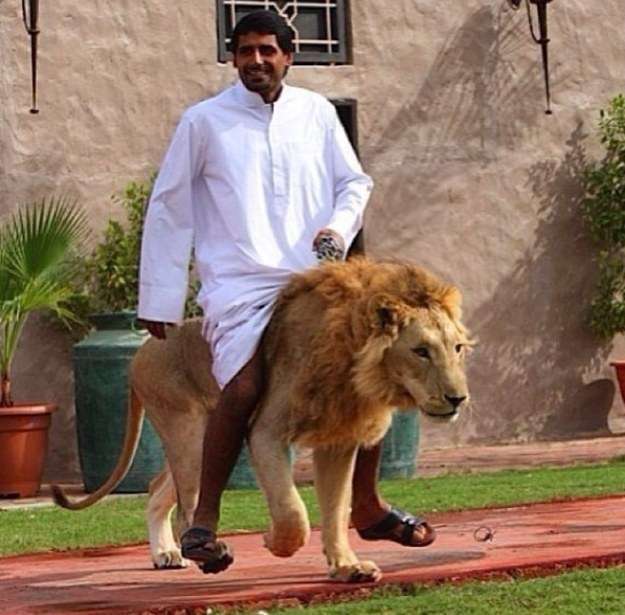 8 Foto Ini Buktikan Dubai Kota Paling Ajaib di Bumi