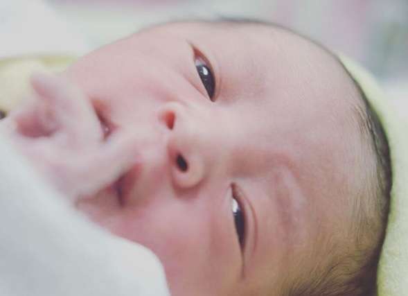 Bayi Chua Kotak Bayi Chua Kotak