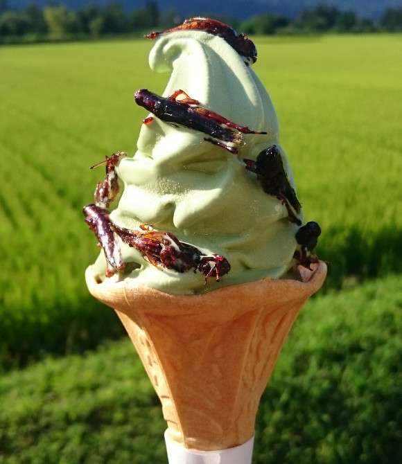 es krim belalang