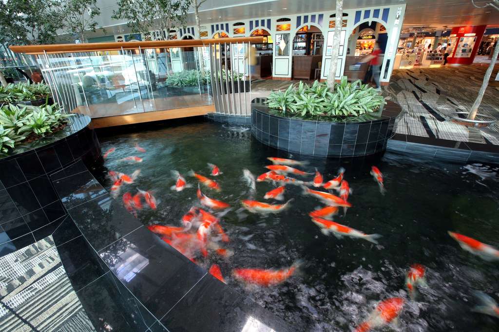 Changi
