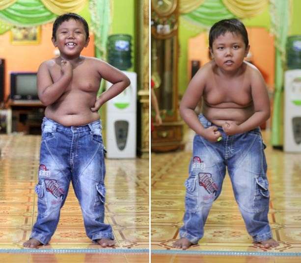 Ardi