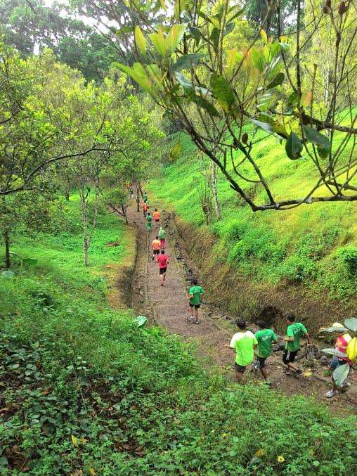 Ijen Green Run