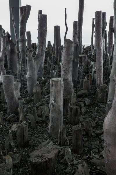 Singapore Biennale