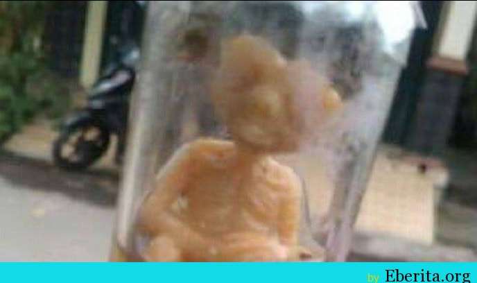 bayi dalam botol bayi dalam botol