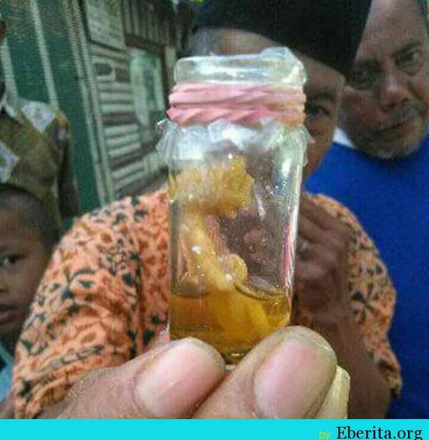 bayi dalam botol bayi dalam botol